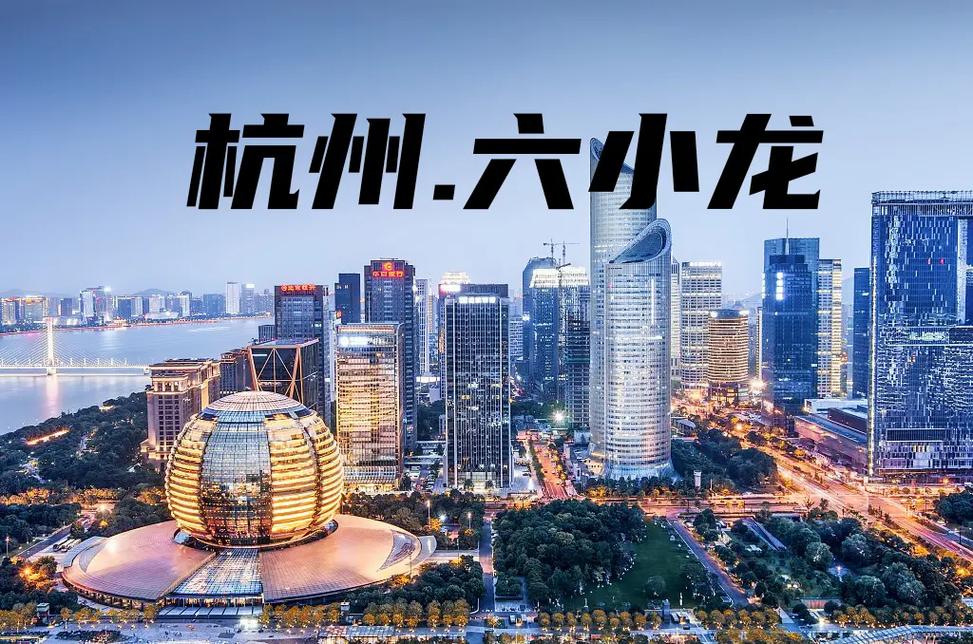 杭州六小龙标杆企业考察